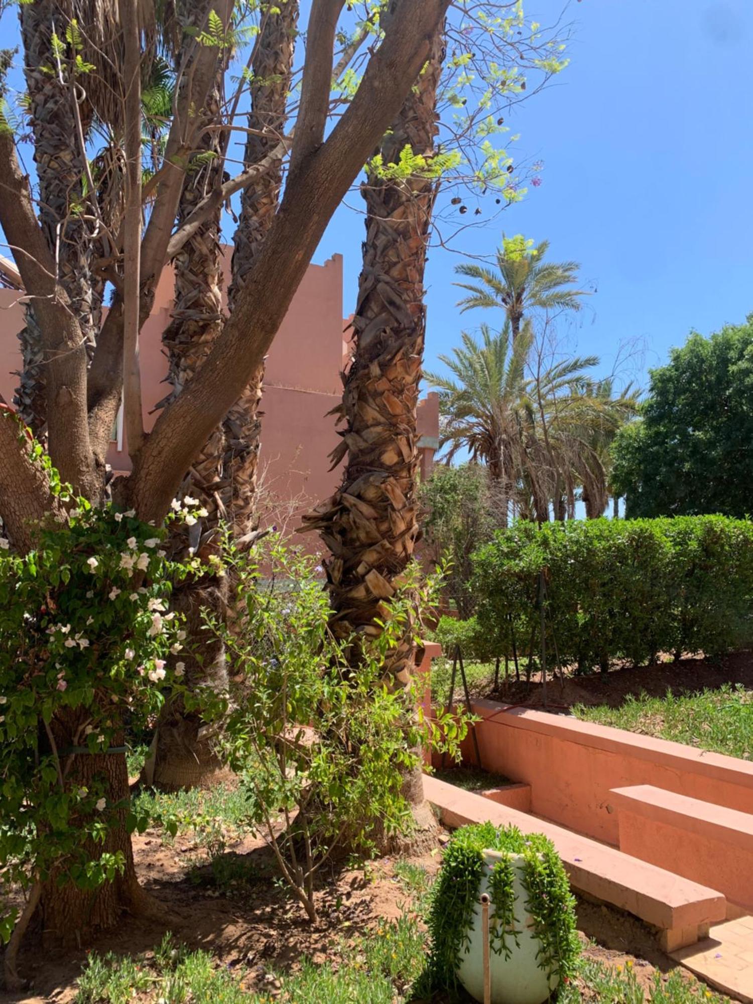 Villa Avec Piscine Privatisee A La Palmeraie Marrakesh Ngoại thất bức ảnh