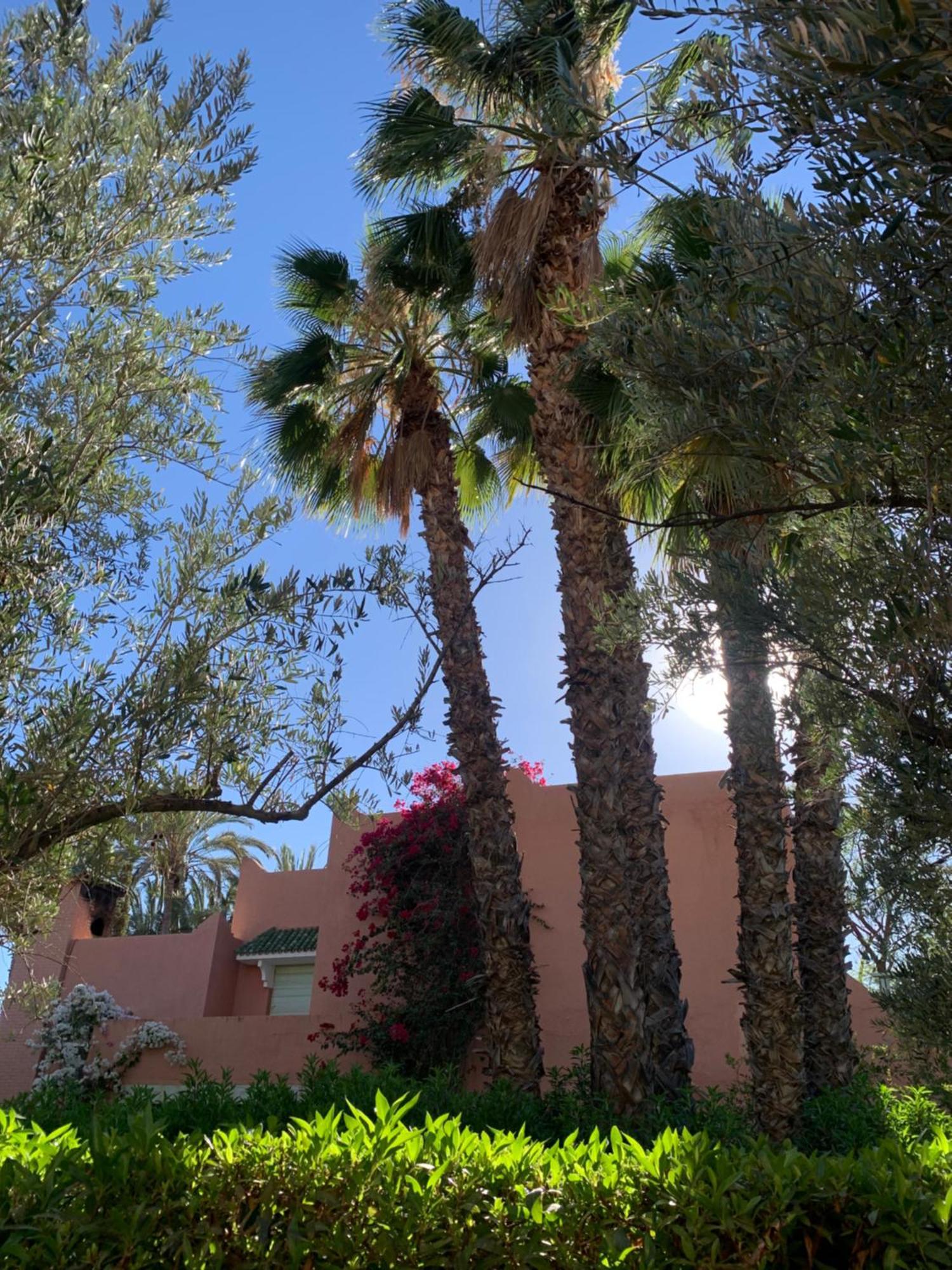 Villa Avec Piscine Privatisee A La Palmeraie Marrakesh Ngoại thất bức ảnh