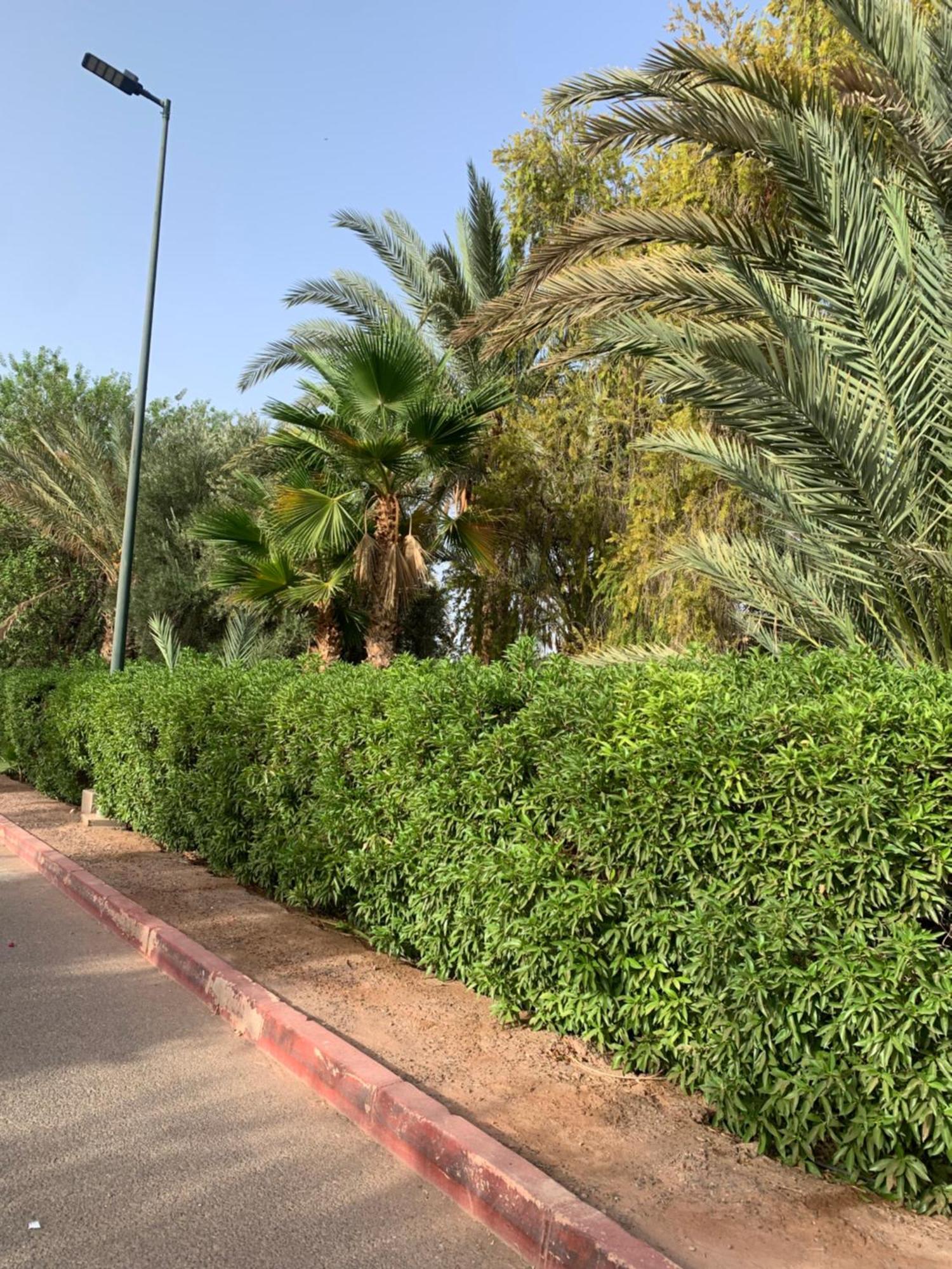 Villa Avec Piscine Privatisee A La Palmeraie Marrakesh Ngoại thất bức ảnh